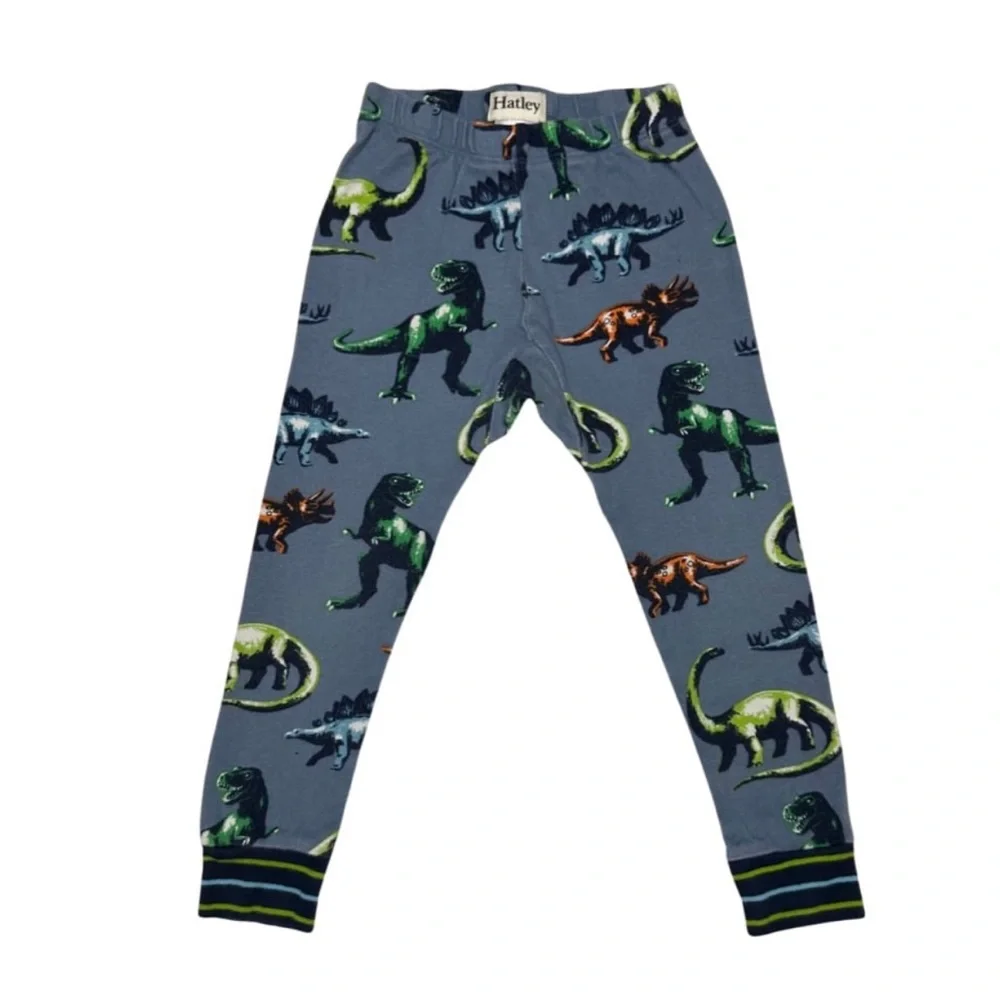 Hatley‎ Painted Dinos Organic Cotton Raglan Pajama Set